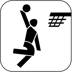 icon_basketball_schwarz_auf_weiss_250px.png